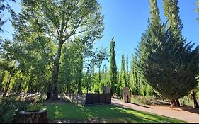 Las margaritas